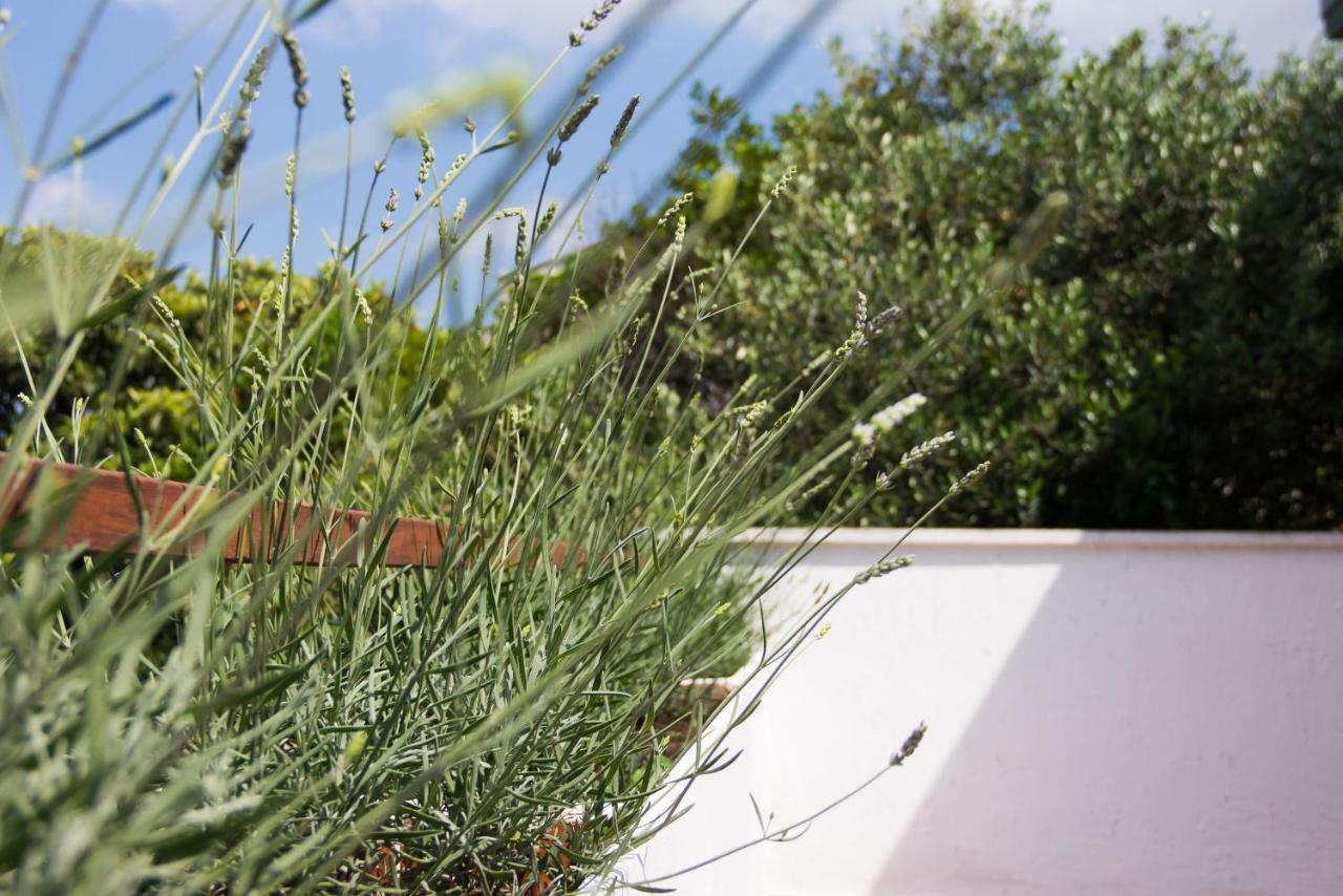 Holiday Home Laurea Supetar Exterior photo